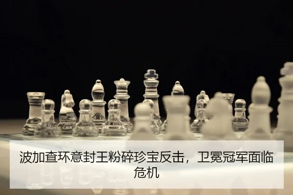 bo-jia-cha-huan-yi-feng-wang-fen-sui-zhen-bao-fan-ji-wei-mian-guan-jun-mian-lin-wei-ji-2-438.jpg