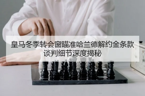huang-ma-dong-ji-zhuan-hui-chuang-miao-zhun-ha-lan-de-jie-yue-jin-tiao-kuan-tan-pan-xi-jie-shen-du-jie-mi-2-509.jpg